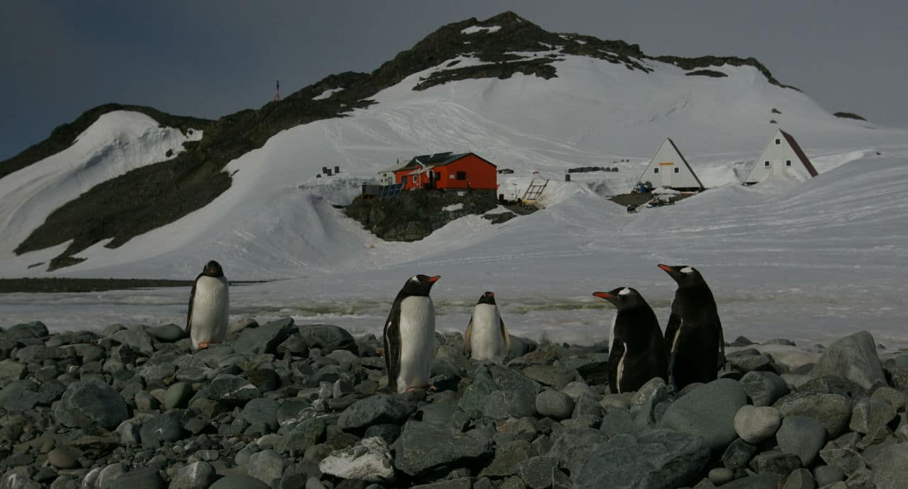 Антарктида – изследване на студа
