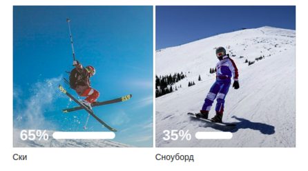 Резултати: Ски или Сноуборд
