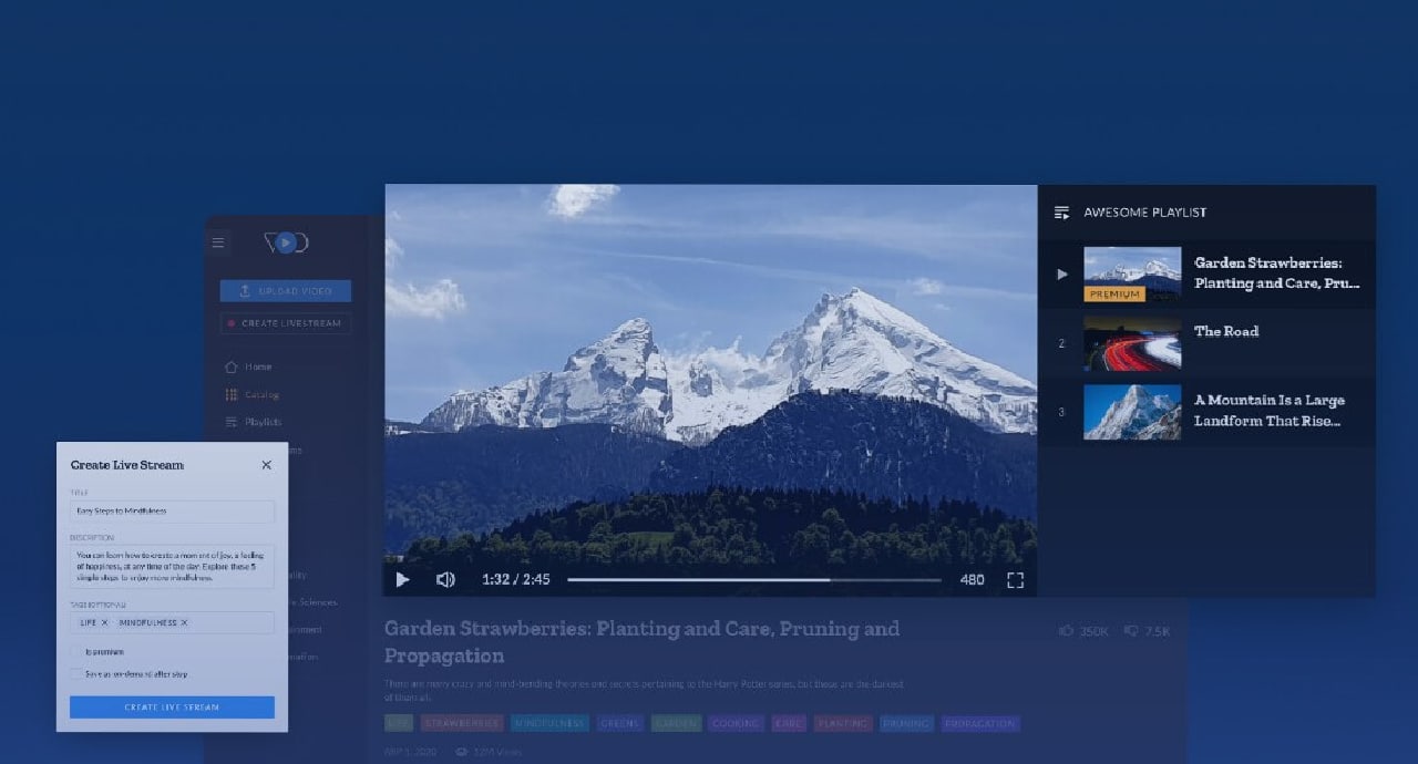 DataArt обяви платформа за споделяне на видеосъдържание и стрийминг