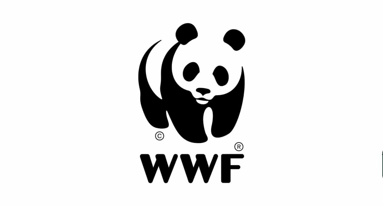 WWF и ГБИТК с конференция, посветена на зелената икономика