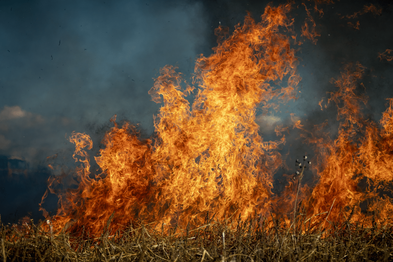 Куриер на Amazon спасява семейство от горски пожар в Колорадо