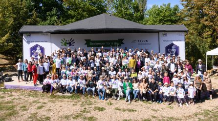 4 милиона пчели ще имат дом благодарение на екипа на TELUS Bulgaria