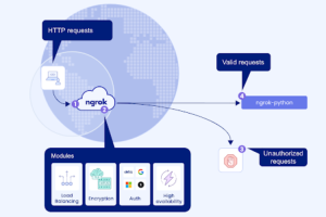 Платформата ingress ngrok Представи SDK на Python